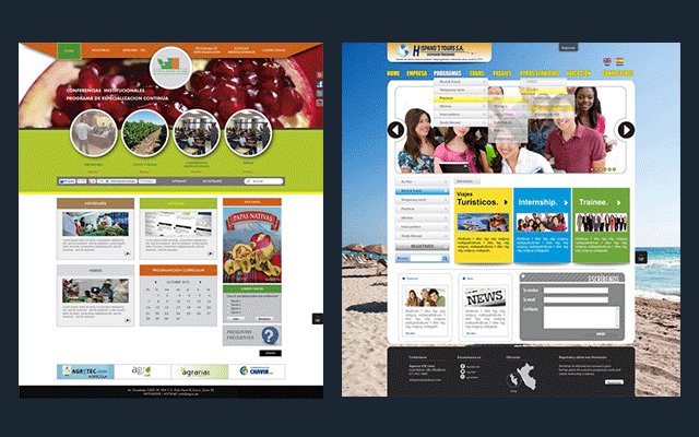 pagina-web-agro